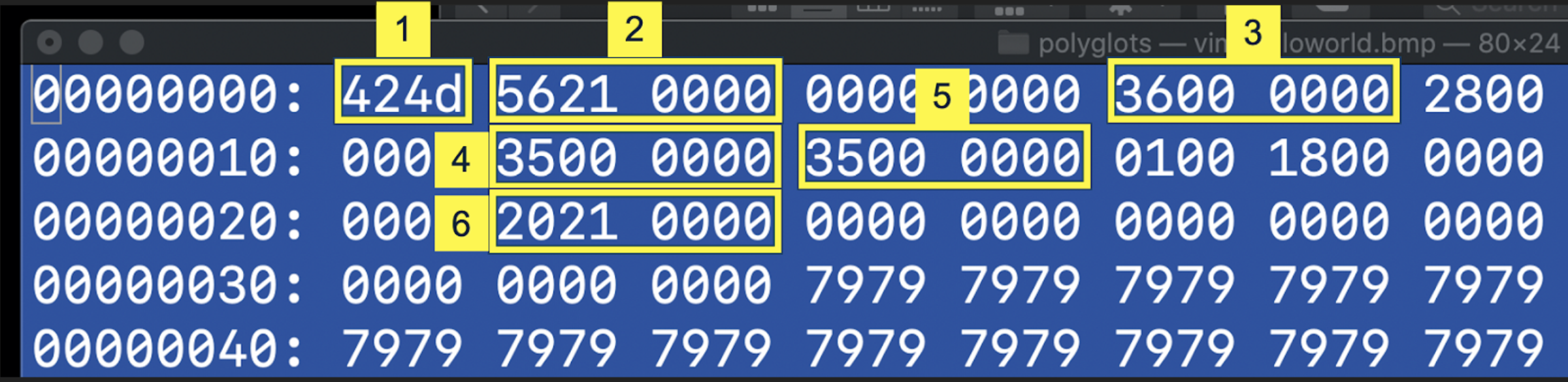 Python Bitmap polyglot go BRRR