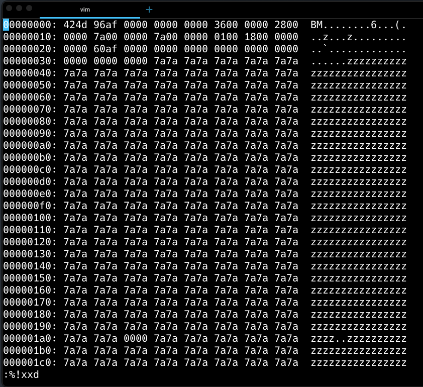 Vim output