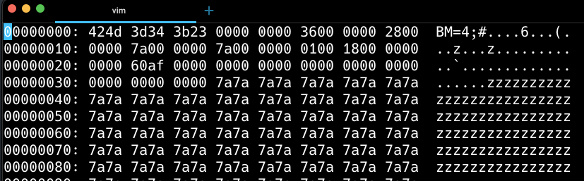 Vim output